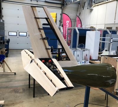 Tail structure lab view