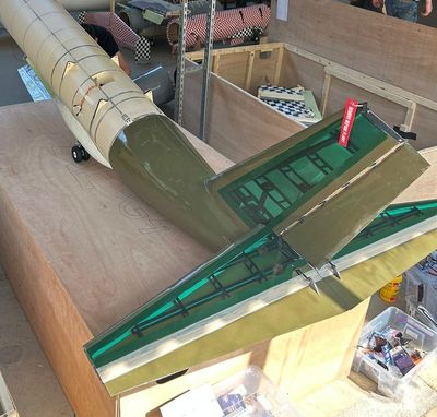Tail structure top view